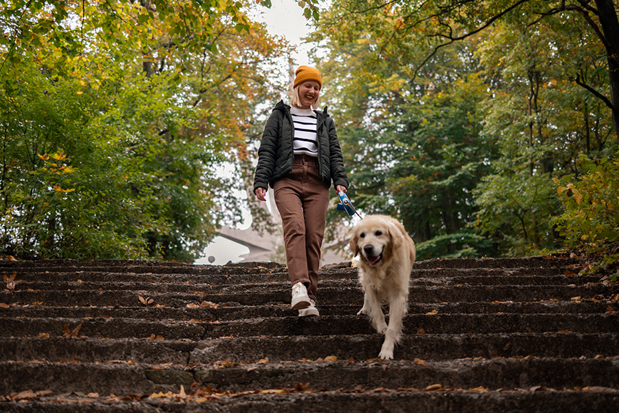 Woman walking with dog down steps